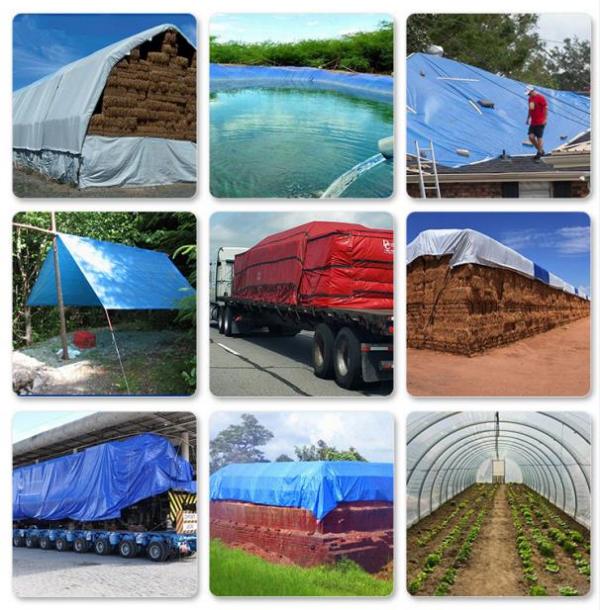 篷布：守護您的世界，從細節開始